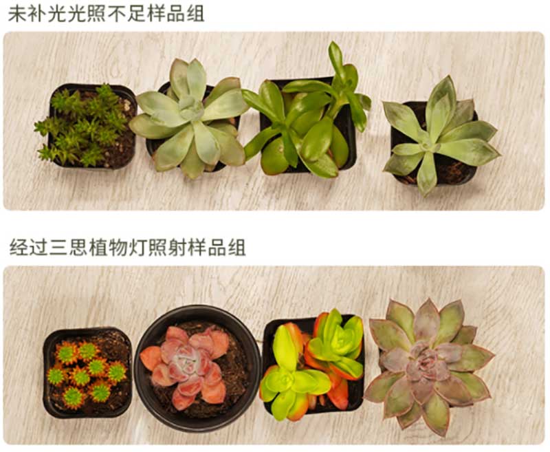 上海色多多AV导航