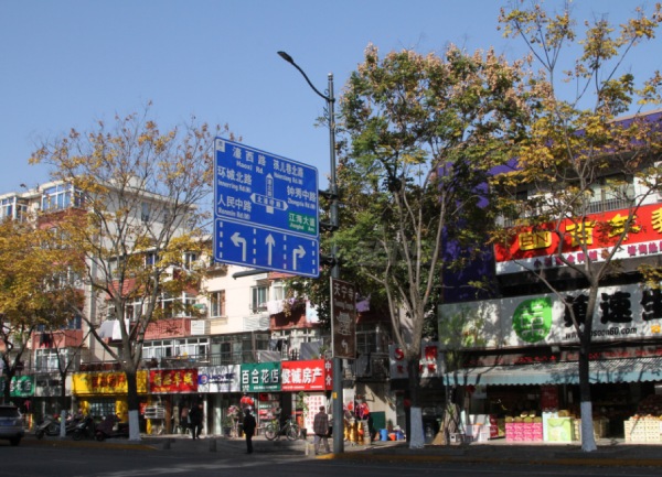 南通（tōng）市區（qū）色多多AV导航LED陶瓷像素模塊（kuài）化路燈