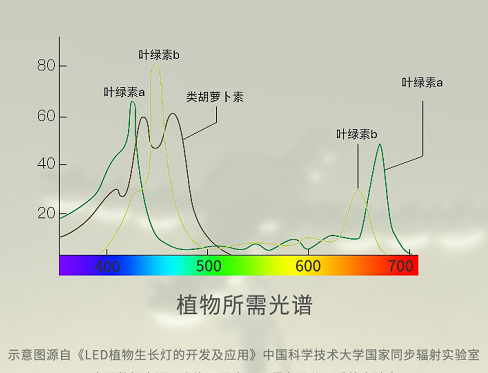 色多多AV导航LED