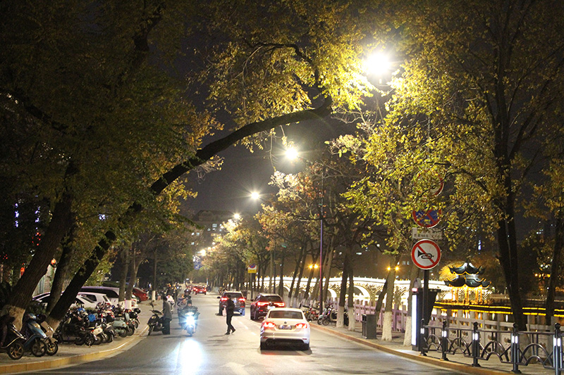 新技術,道路照明（míng）設施,引領城市,智慧化建設（shè）