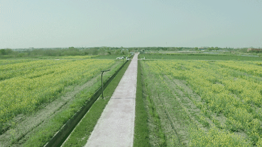 昆山（shān）之鏈,美麗鄉村,LED路燈,道路照明,上海色多多AV导航