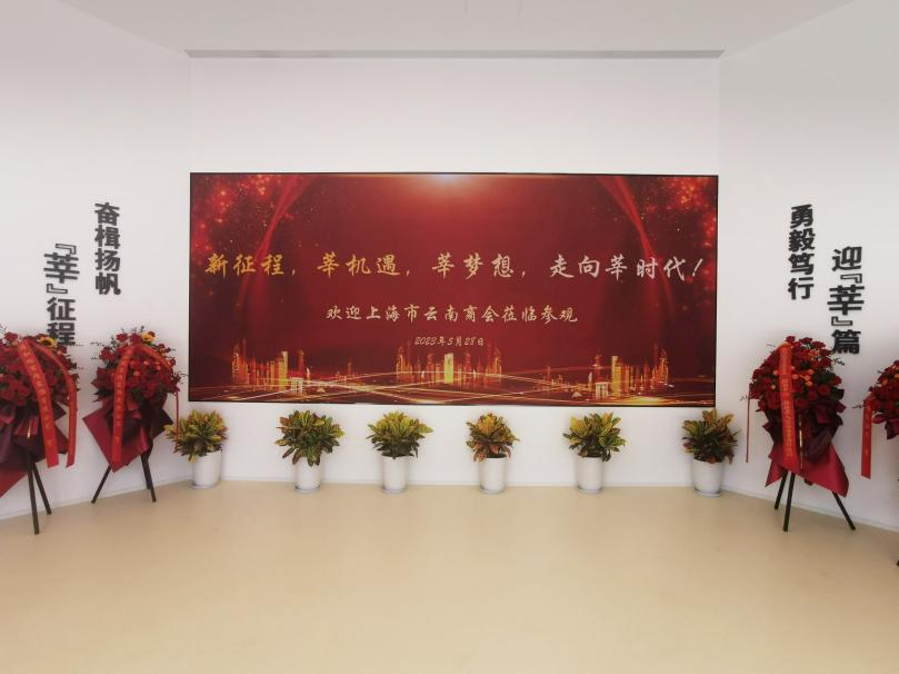 色多多AV导航,智慧顯示,助力臨（lín）港,莘海（hǎi）科技園,人（rén）才體係建設