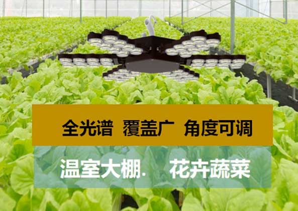 LED显示屏,LED显示屏厂家（jiā）,LED照明厂家,照明解决方（fāng）案,显示屏解决方案